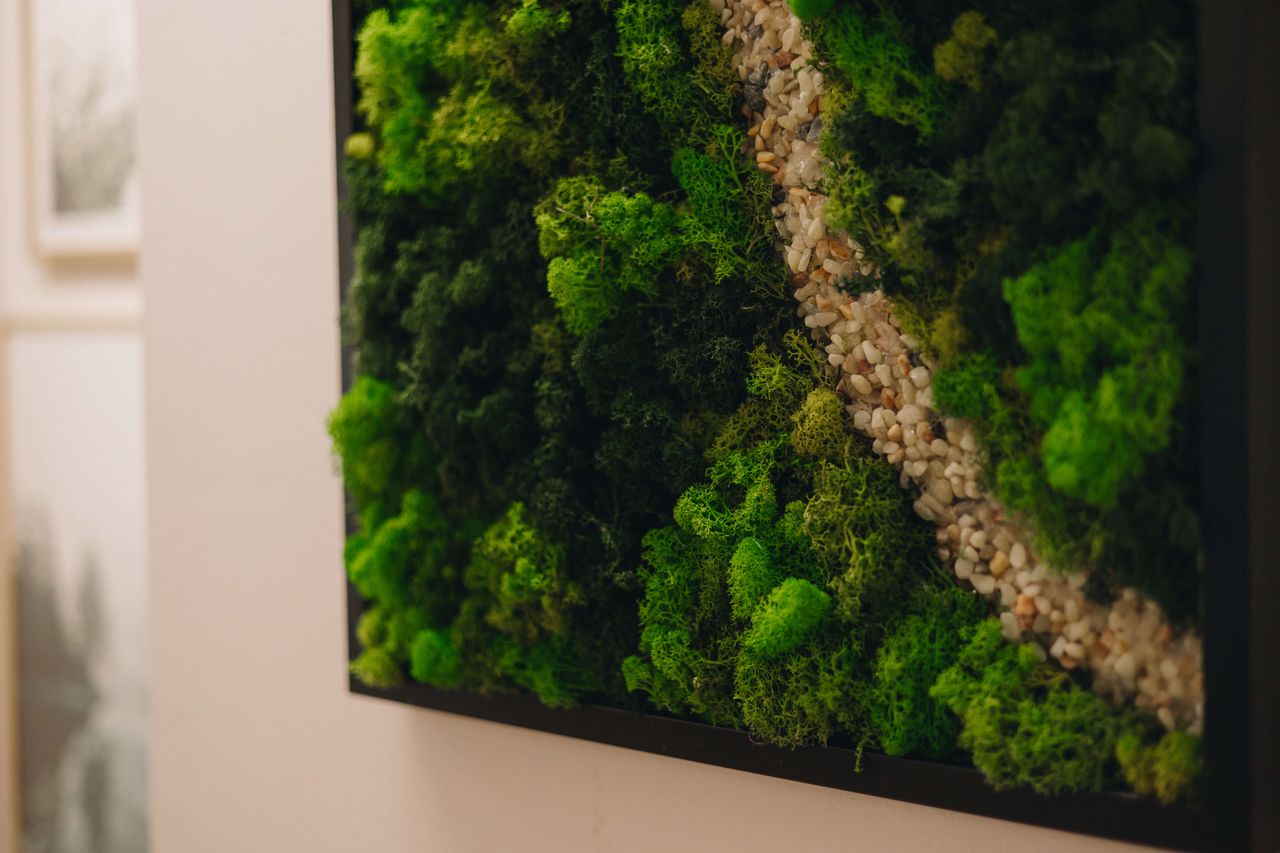 Magdalena Tucholska-4