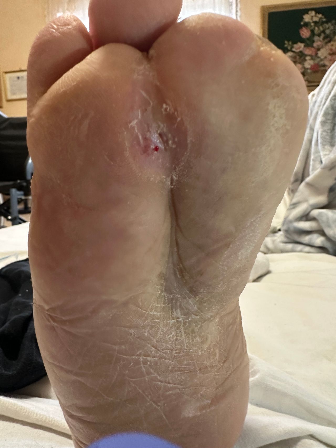 Francesco Pio Digirolamo-8