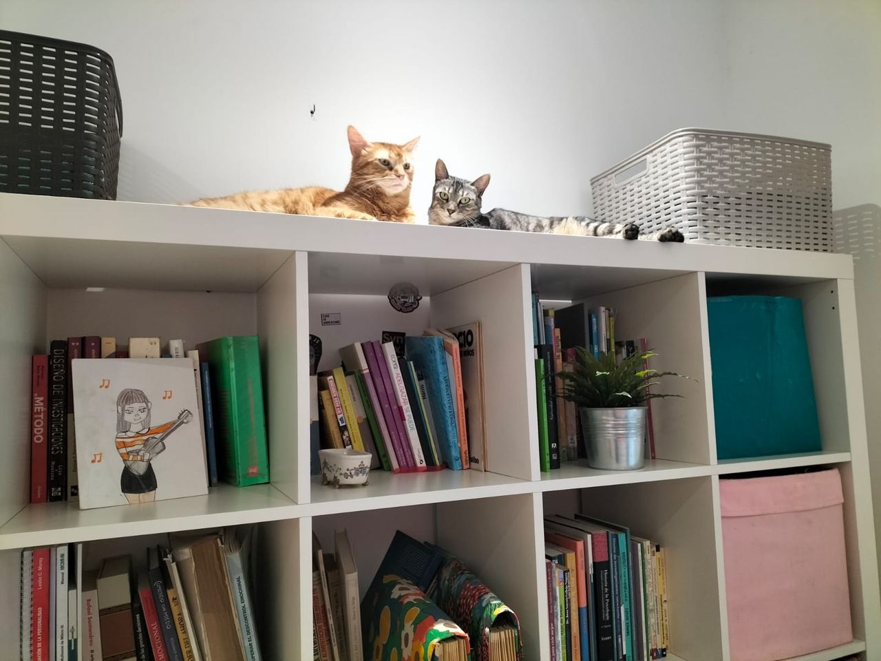 Elvira Infante Alberola-1