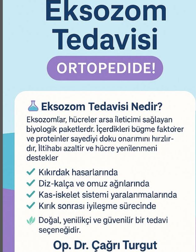 Çağrı Turgut-2