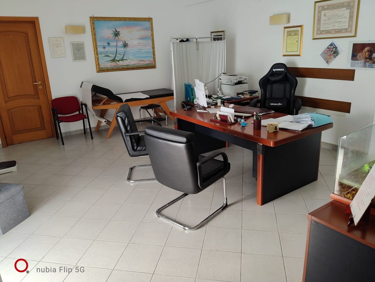 Sandra Giamporcaro-0