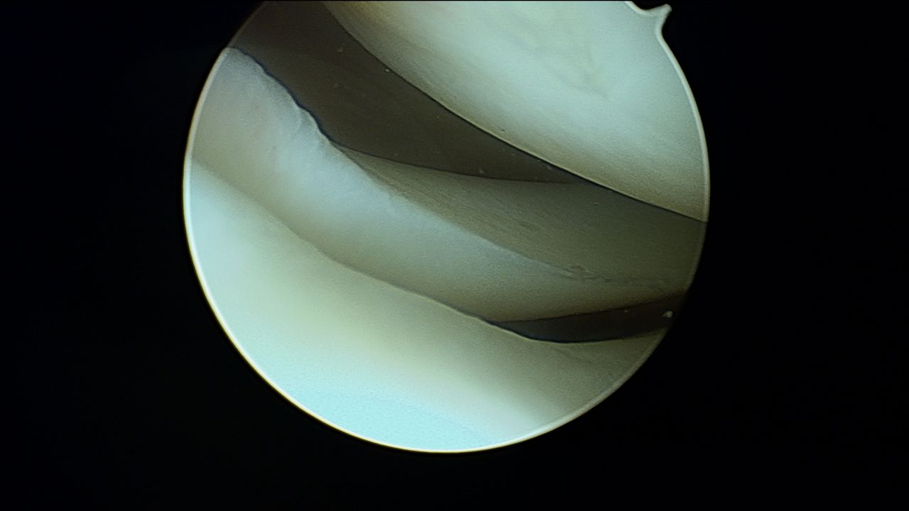 Eulogio Benito Martín-17