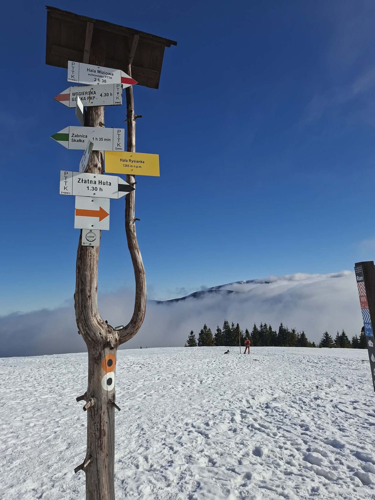 Barbara Hebenstreit-11