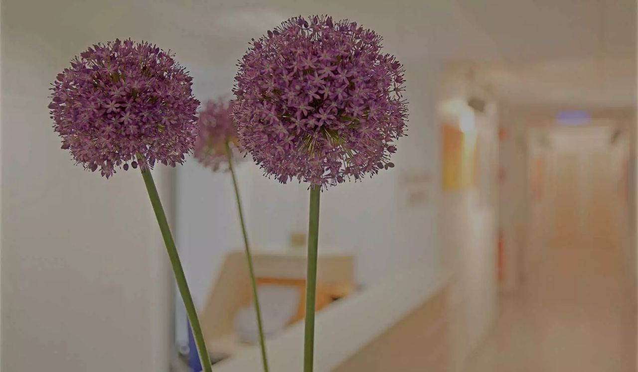 Michael Schneiders-2