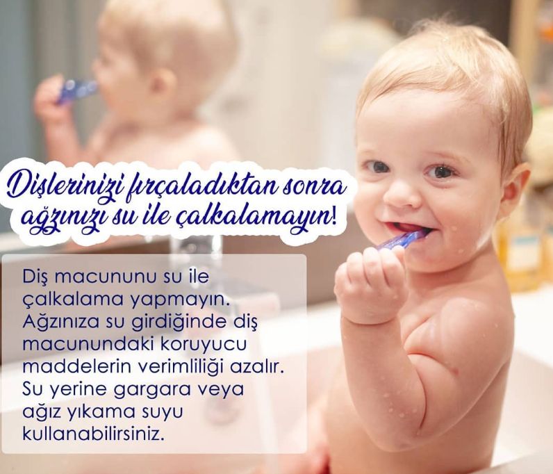 Çiğdem Elbek Çubukçu-0