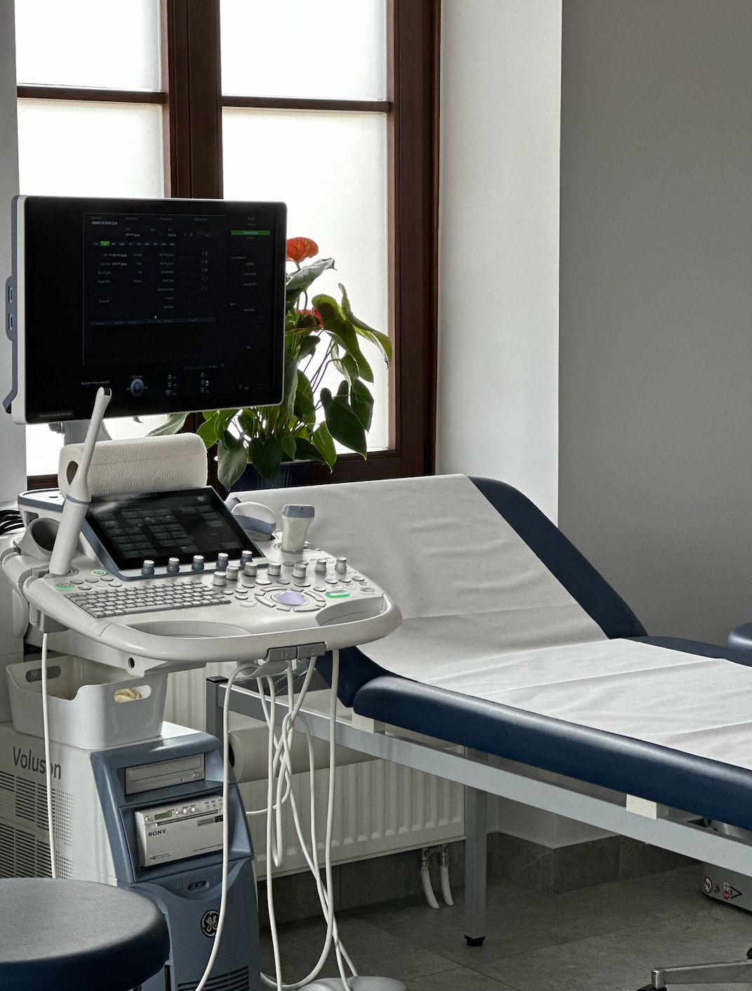 Magdalena Massalska-Wolska-2