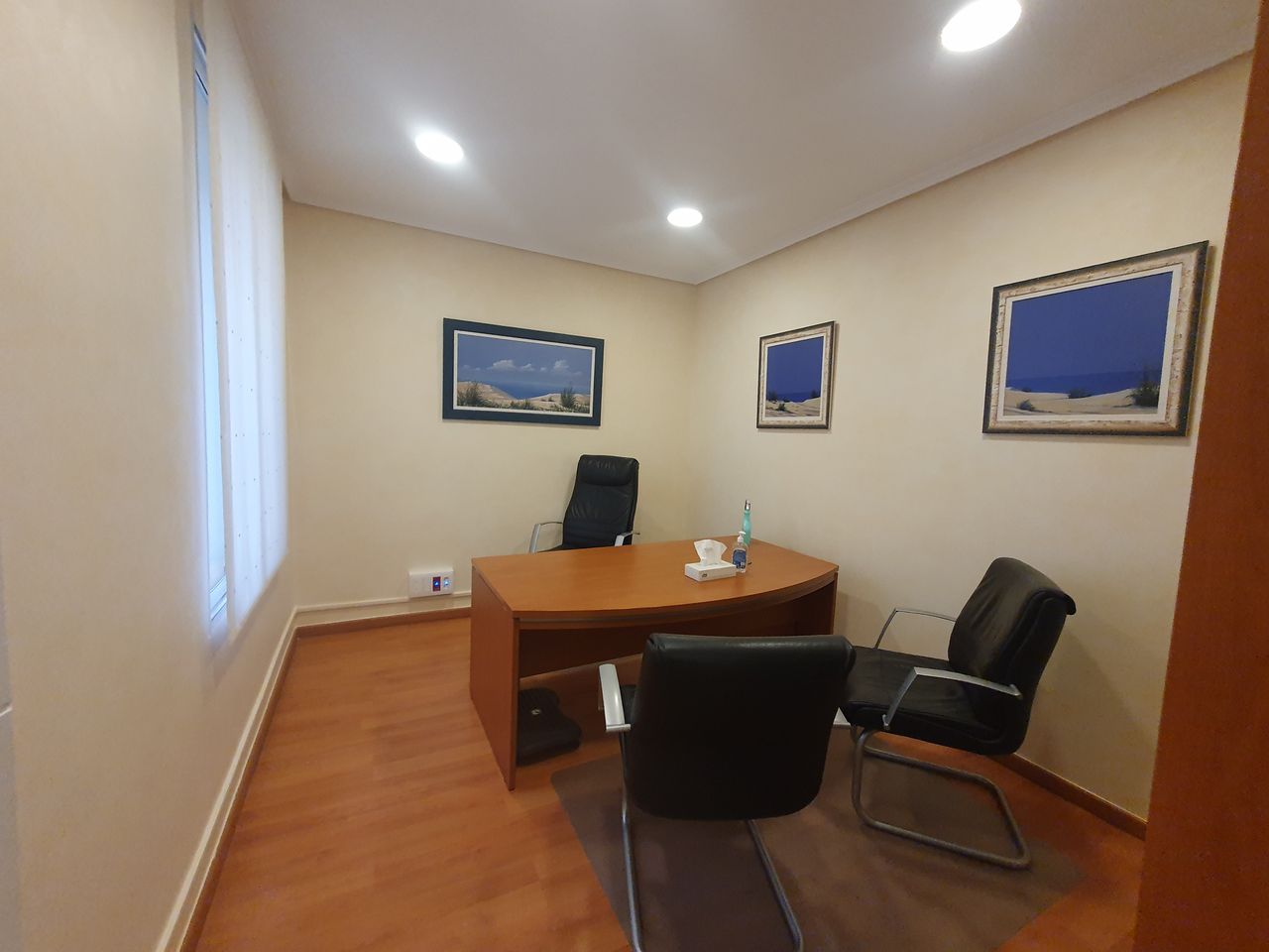 Maria Milagros Minguet Celis-3