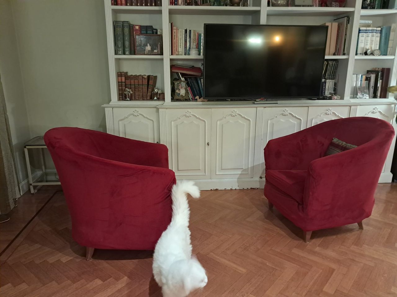 Cristiana Fè D'ostiani-2