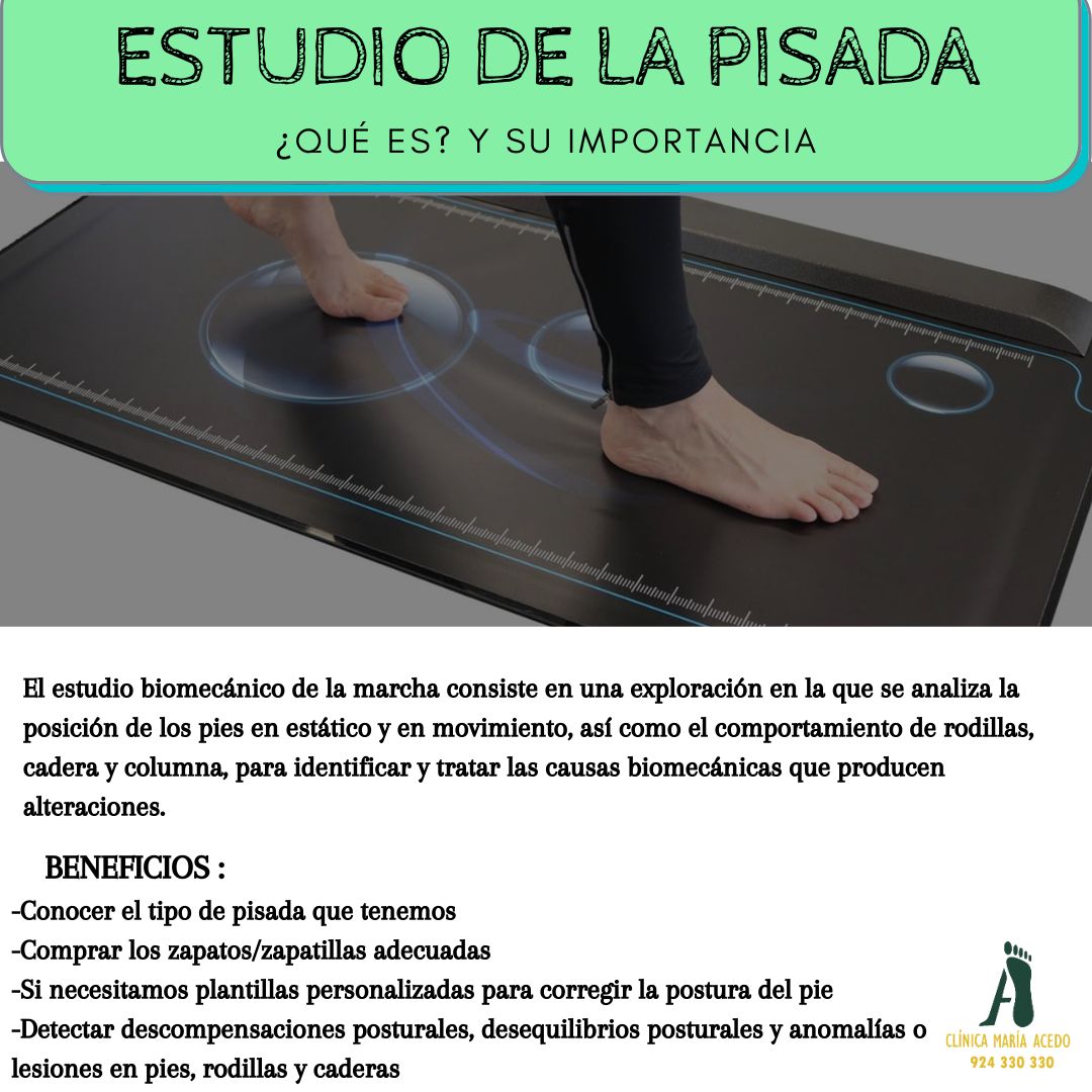 Maria Acedo Cañamero-4