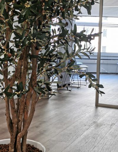 Georgios Drogoutis-5