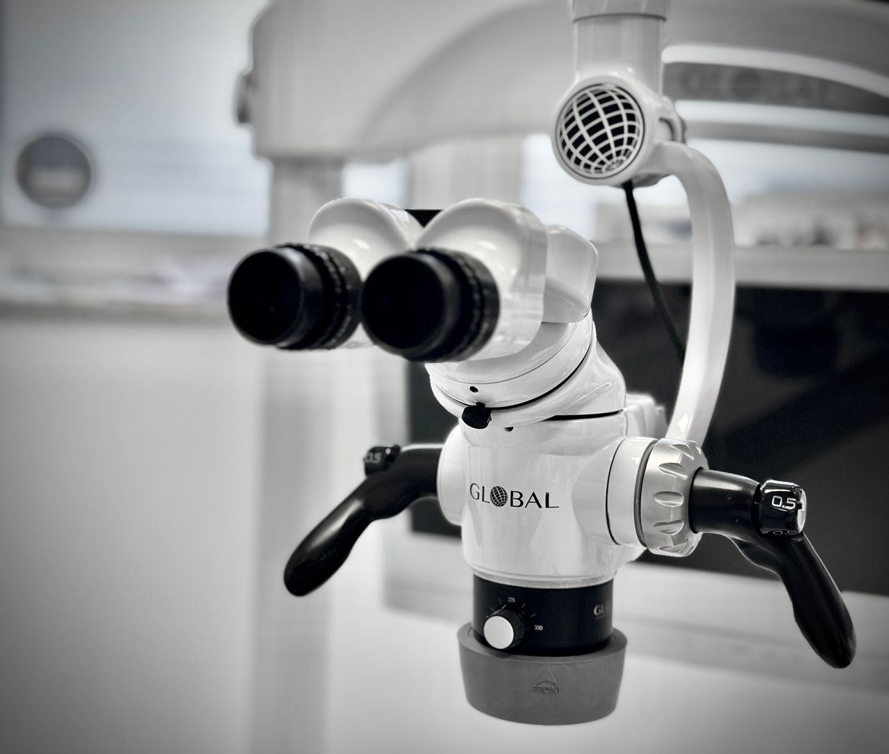 Agnieszka Maczulska-Puchalska-5