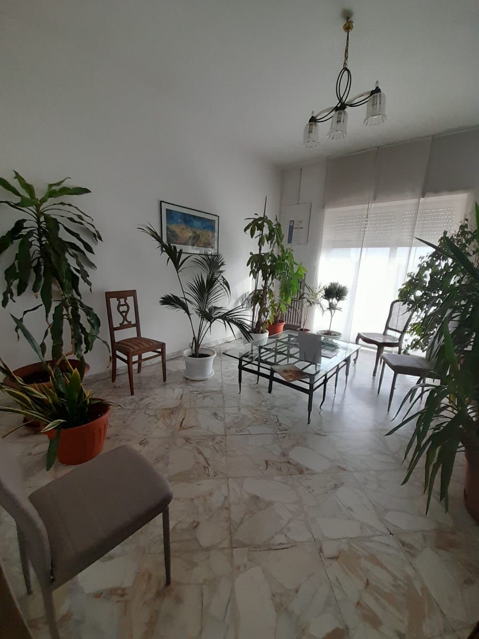 Maria Teresa Ventura-0