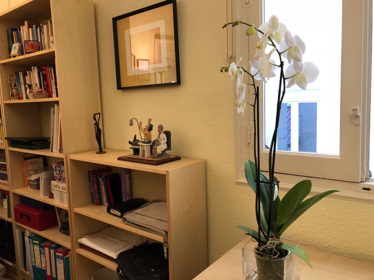 Lourdes Merino Chico-6