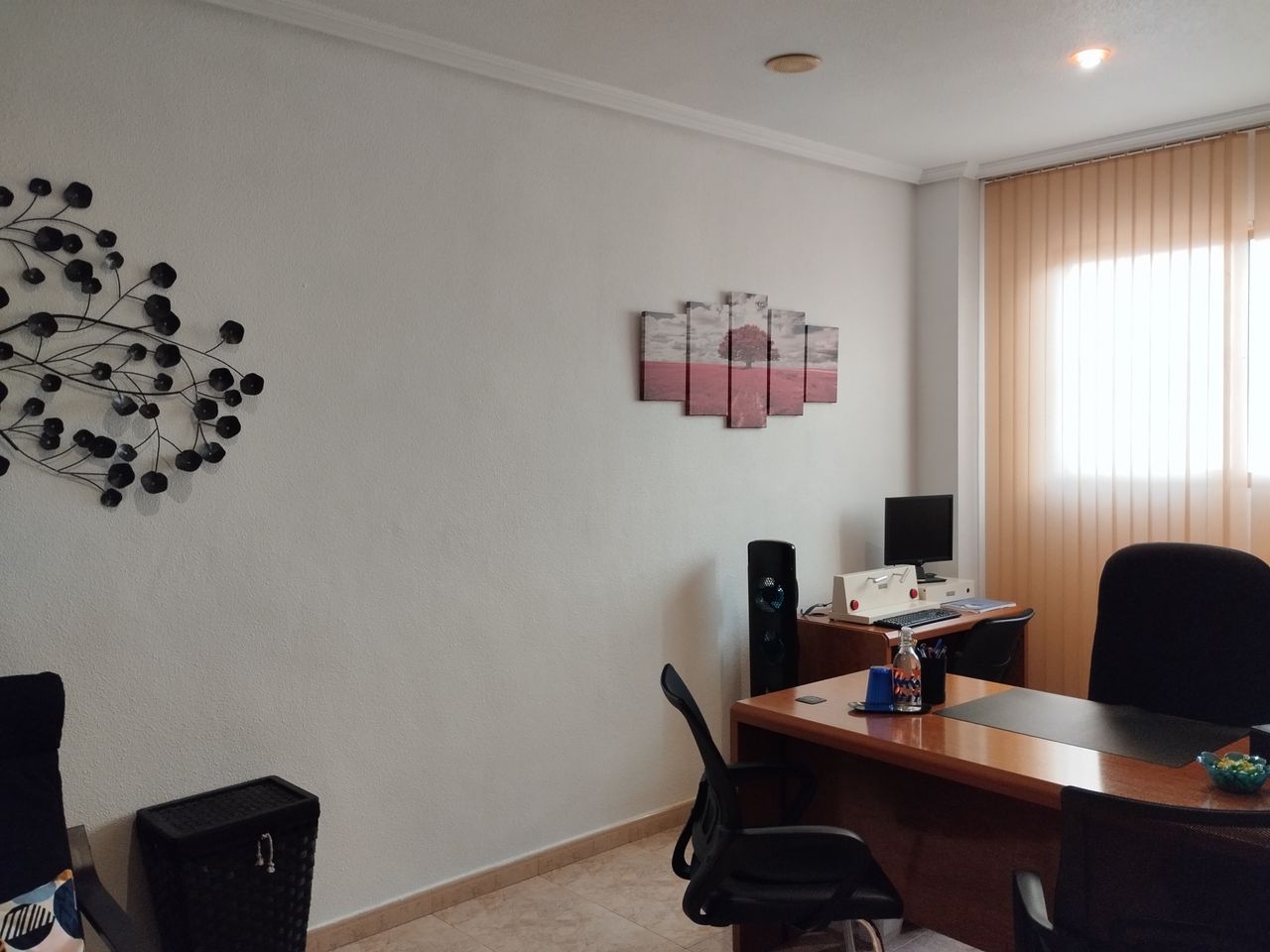 Mari Paz Bastida Balsalobre-0