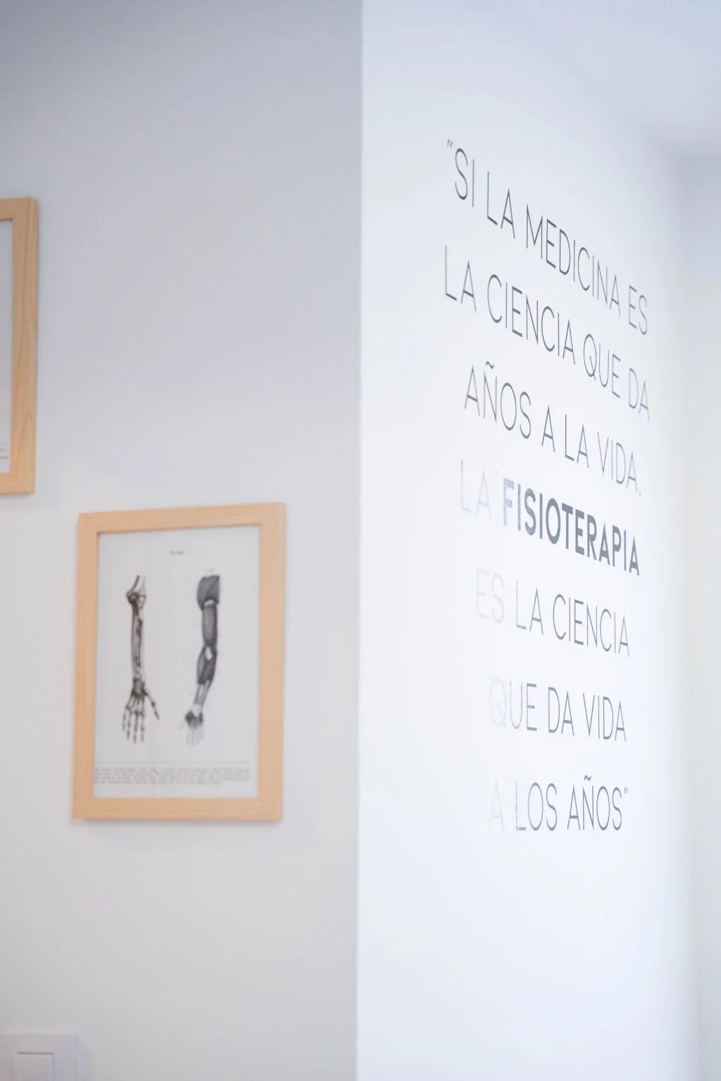 Alejandro Yepes Baena-6