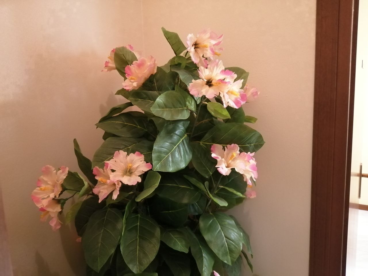 Antonio Marchianò-8