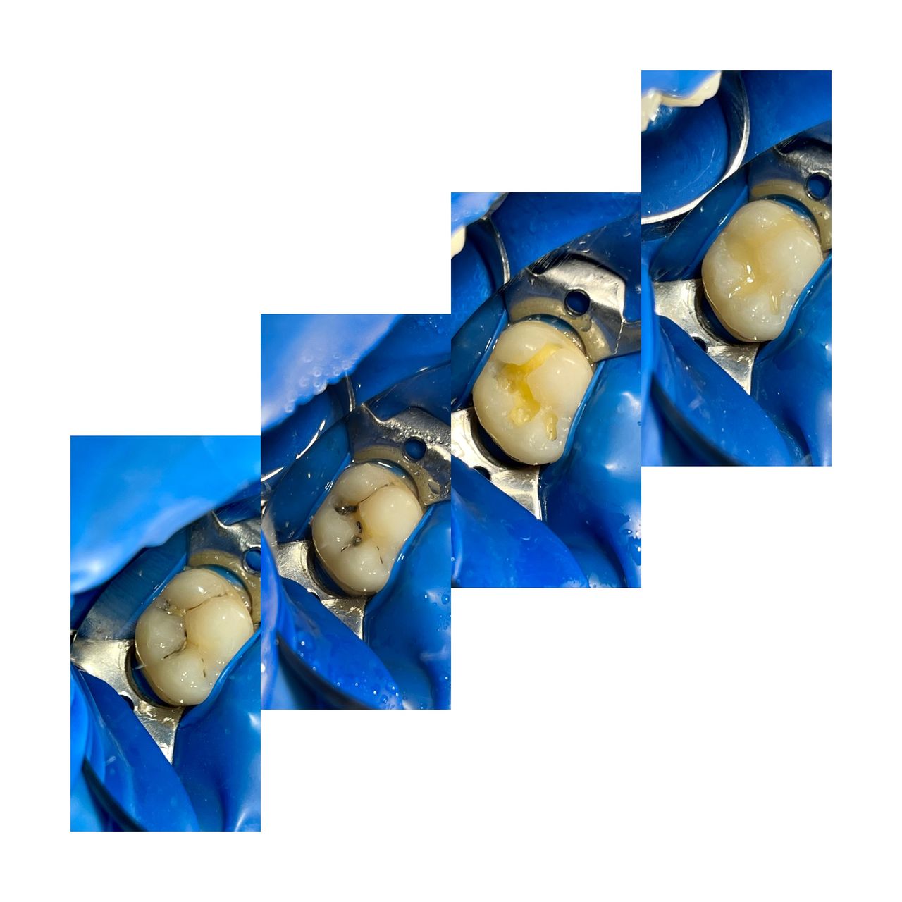 Kateryna Spravtseva-6