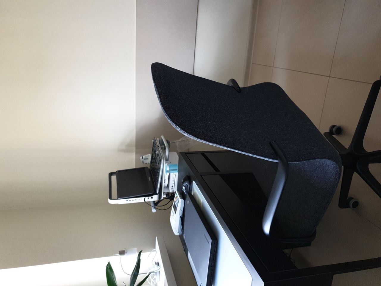 Agata Mioduszewska - Pawęzowska-1