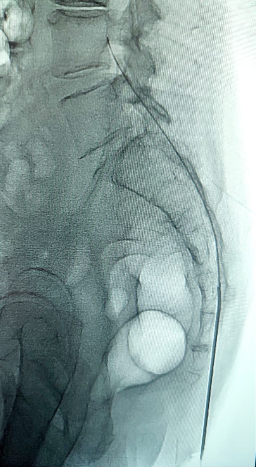 Rafael E. Cuello Santana-4