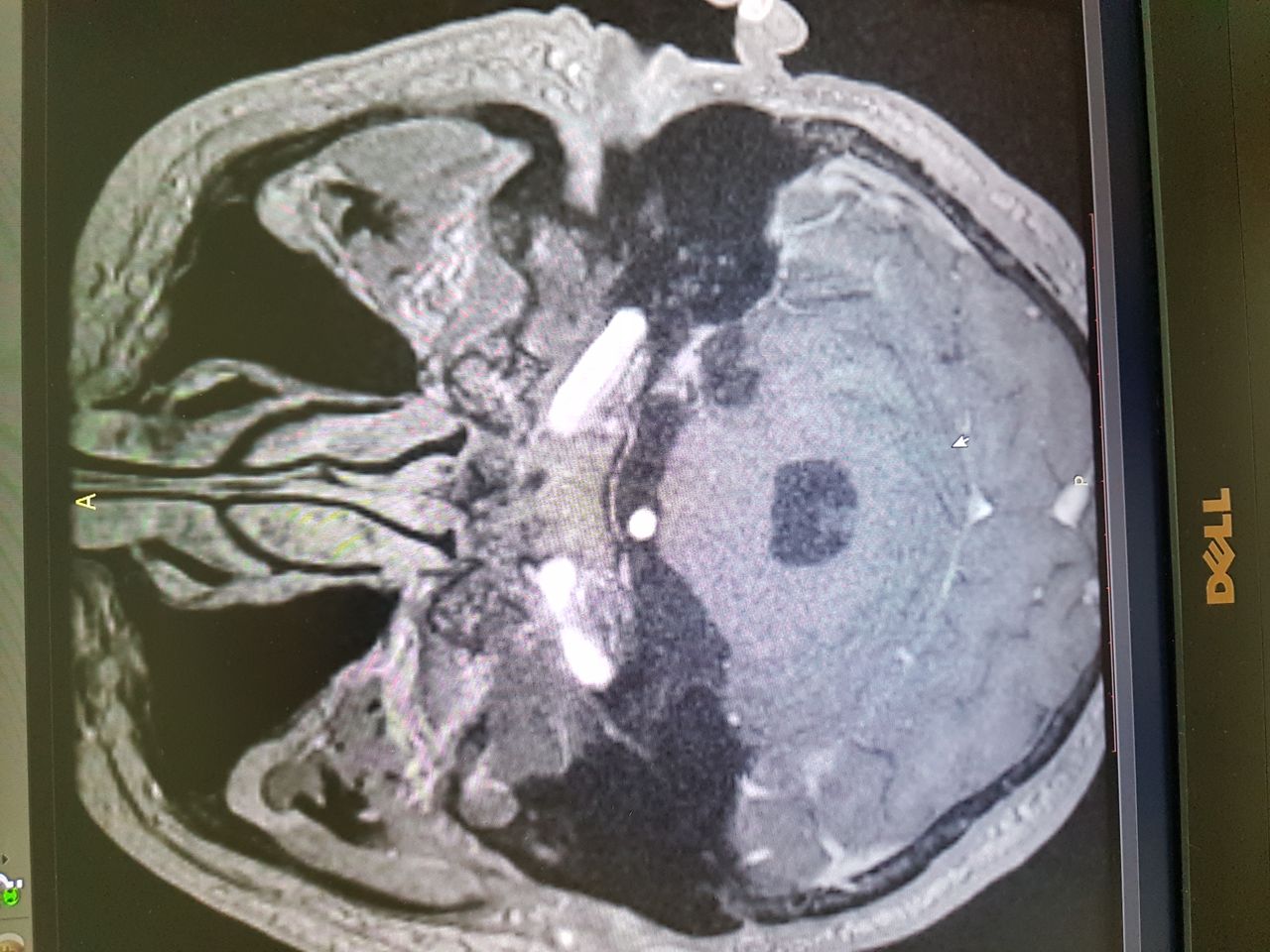 Jarosław Andrychowski-38