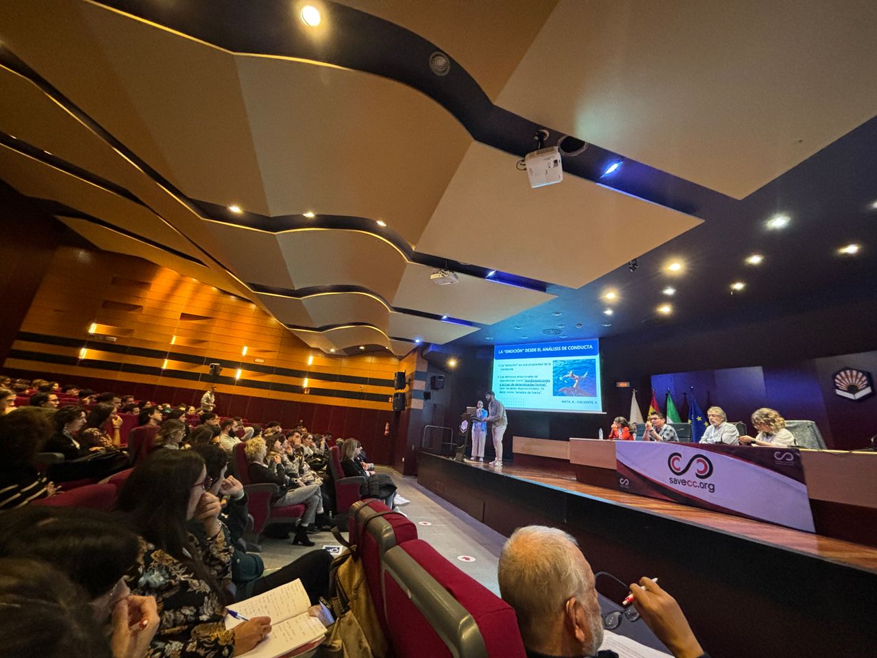 Antonio Mata Salgado-4