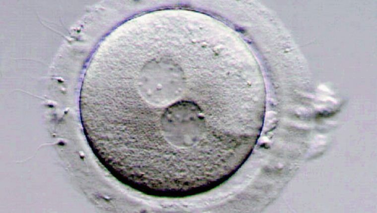 Javier García-Parra Rodríguez-3