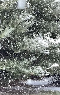 Nuria Soler Alegre-3