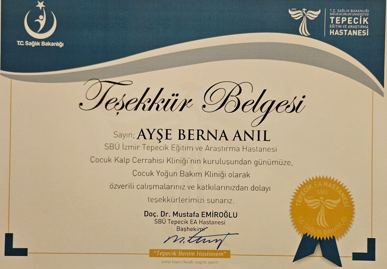 Ayşe Berna Anıl-41