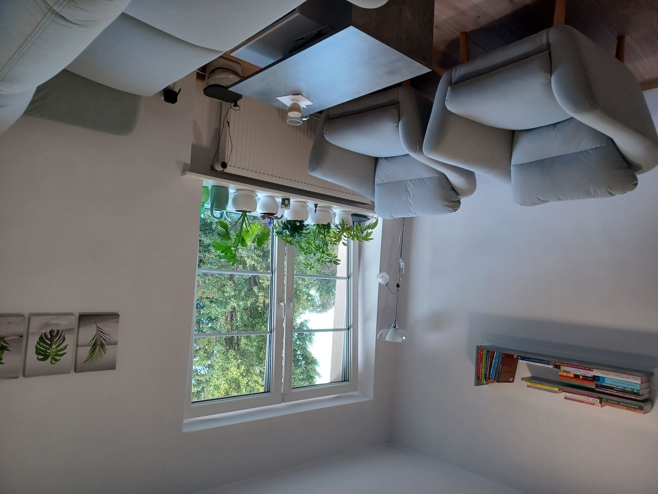 Elżbieta Ciołek-Żelechowska-2