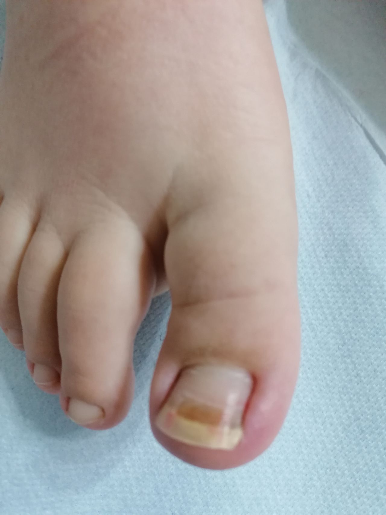 Kassandra Nicolosi-56