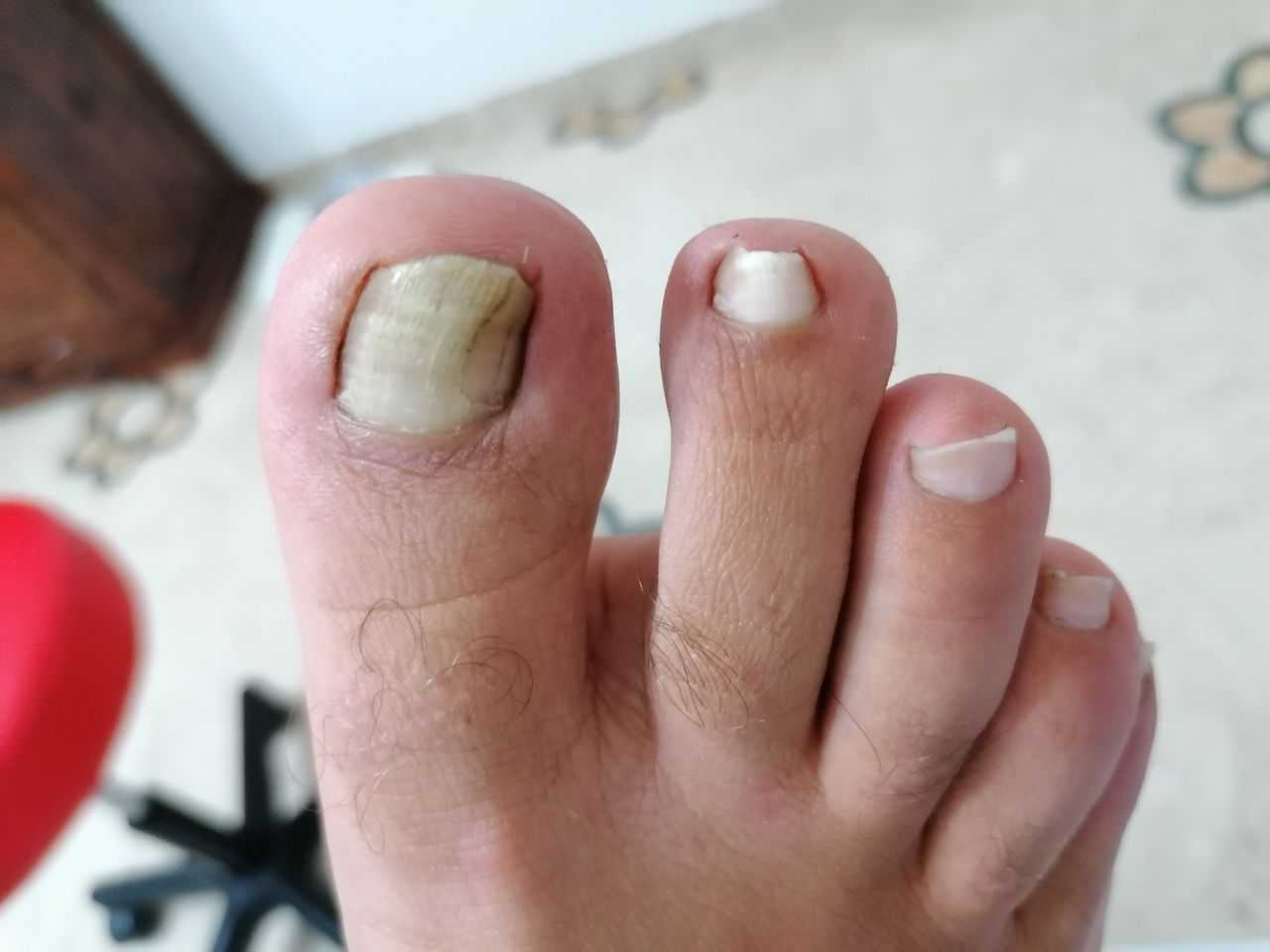 Kassandra Nicolosi-21