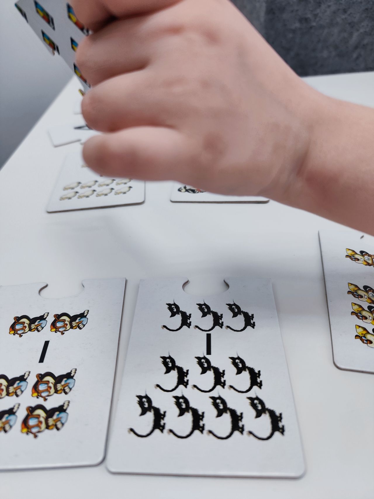 Daria Maciejewska-14