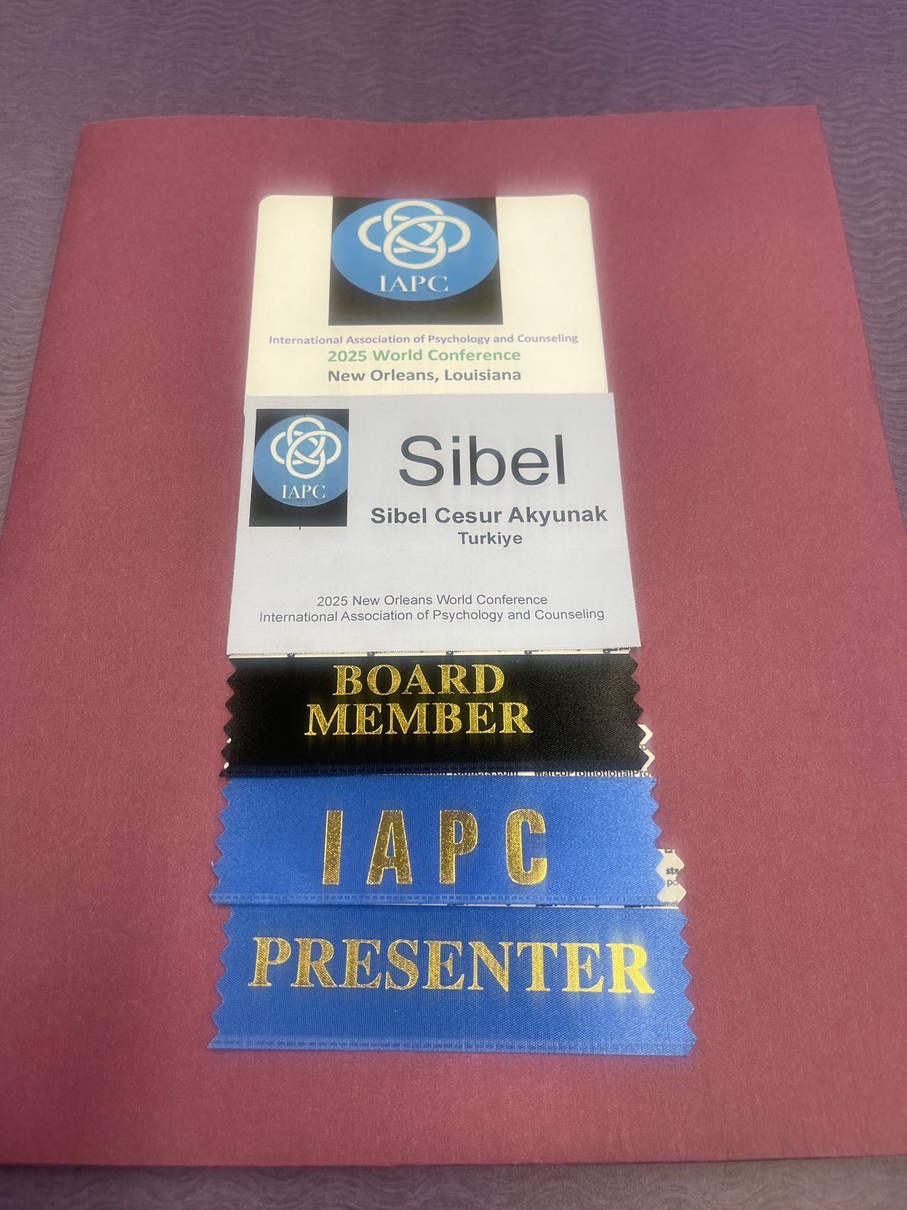 Sibel Cesur Akyunak-11