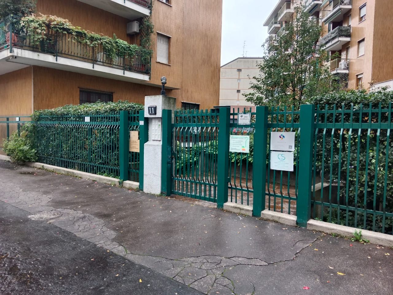 Alessandra Mascellani-4