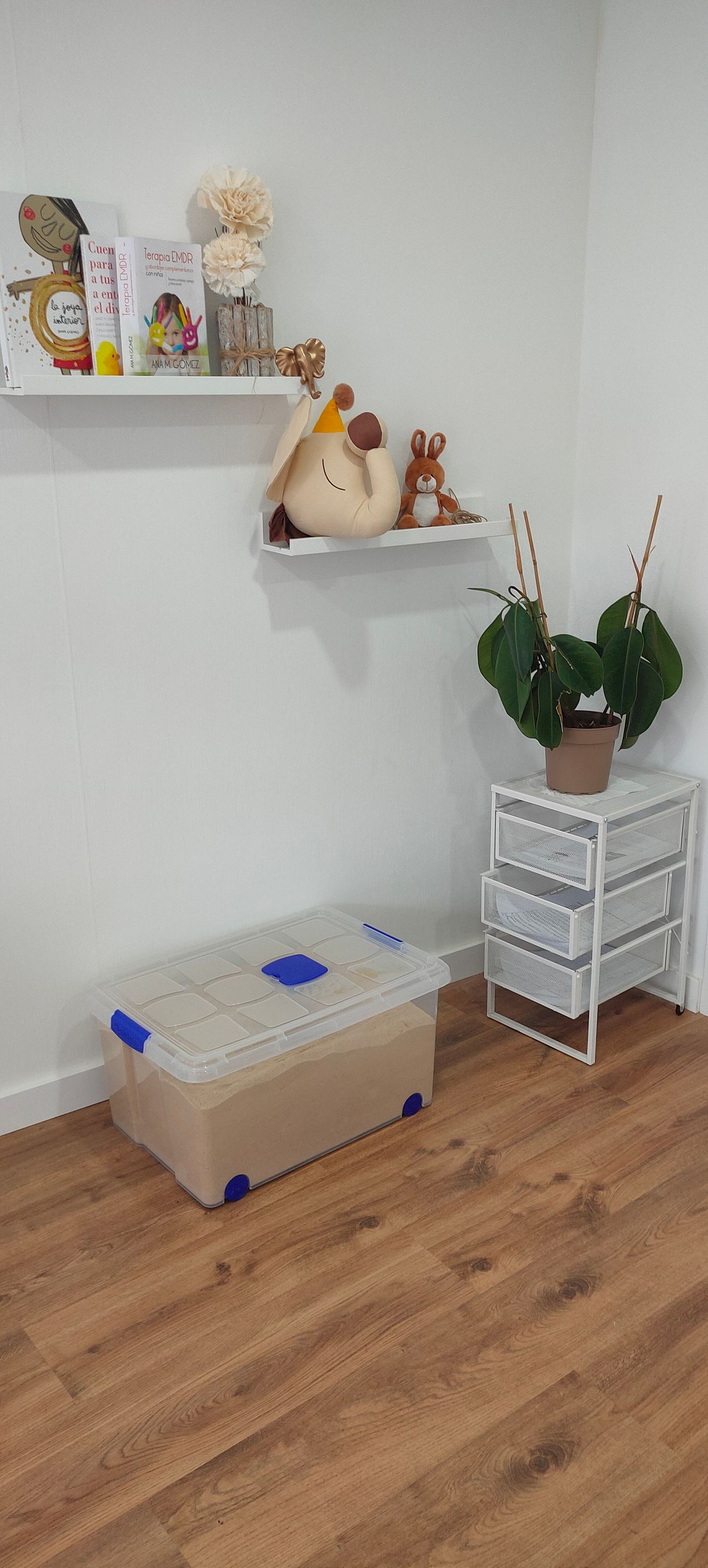 Desireé Pombar Añón-3