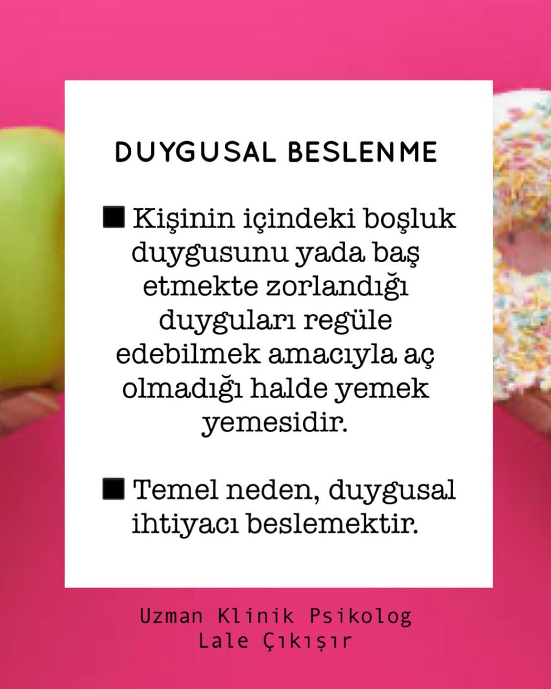 Lale Çıkışır-12