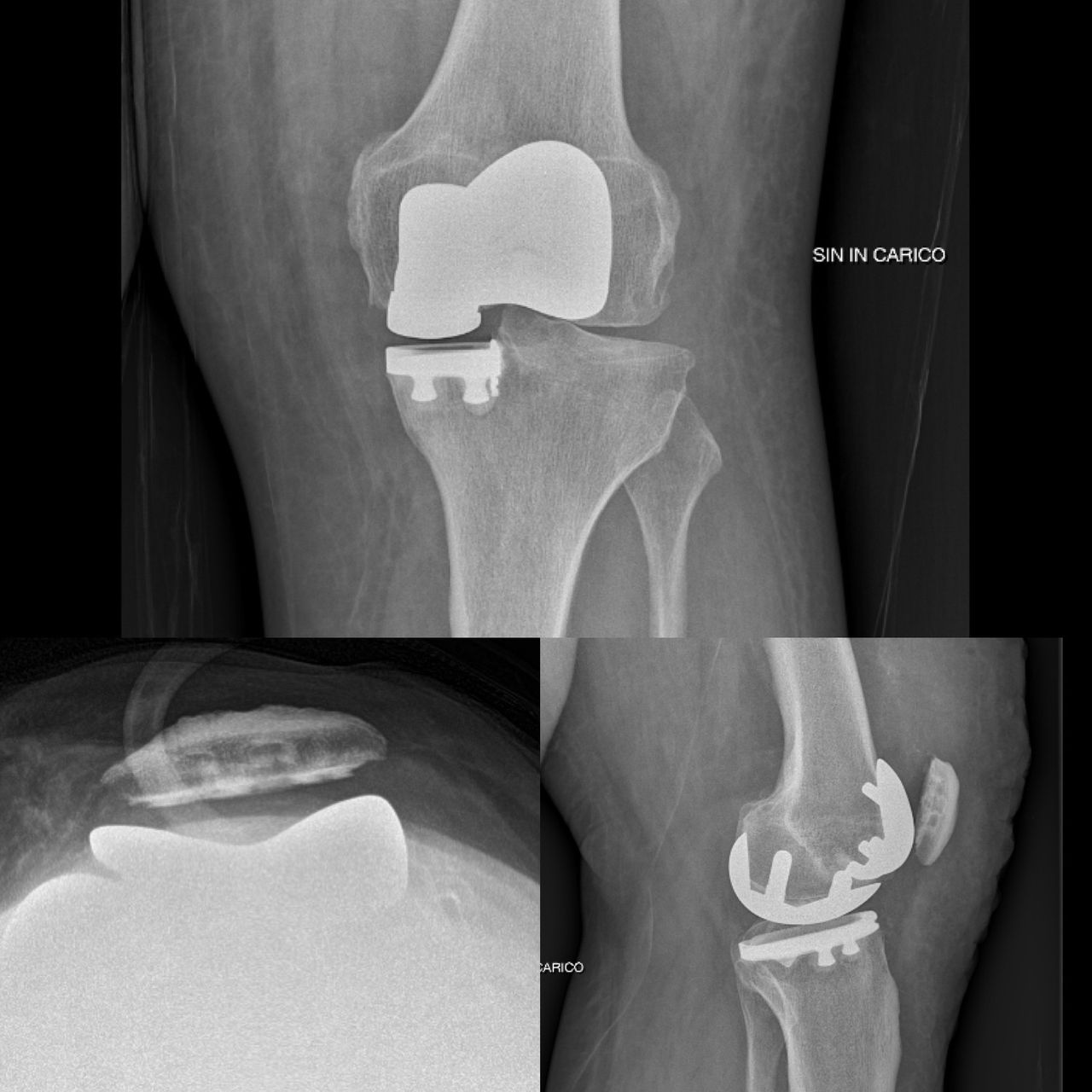 Marco Bargagliotti-7