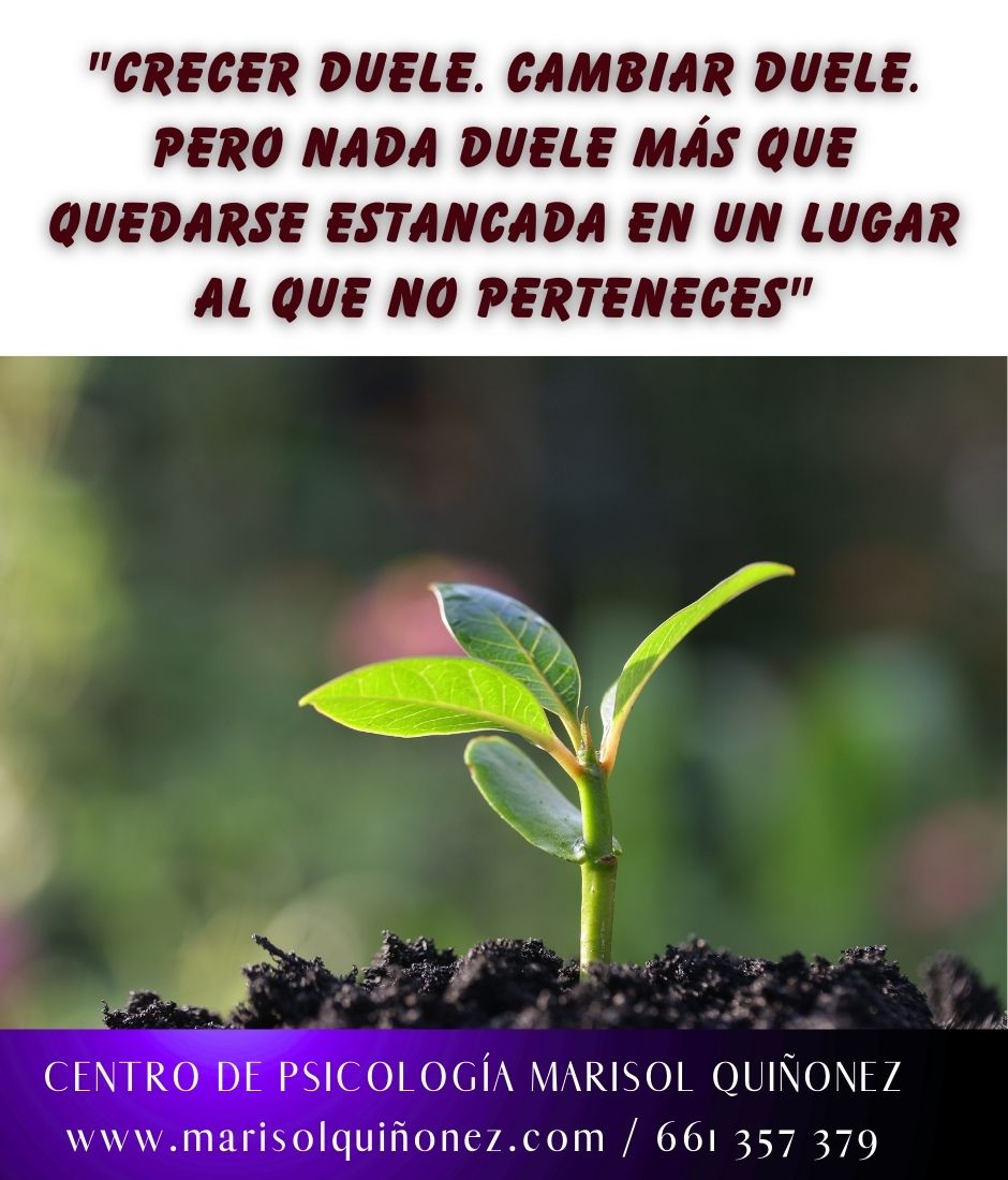 Marisol Quiñonez Quintero-107