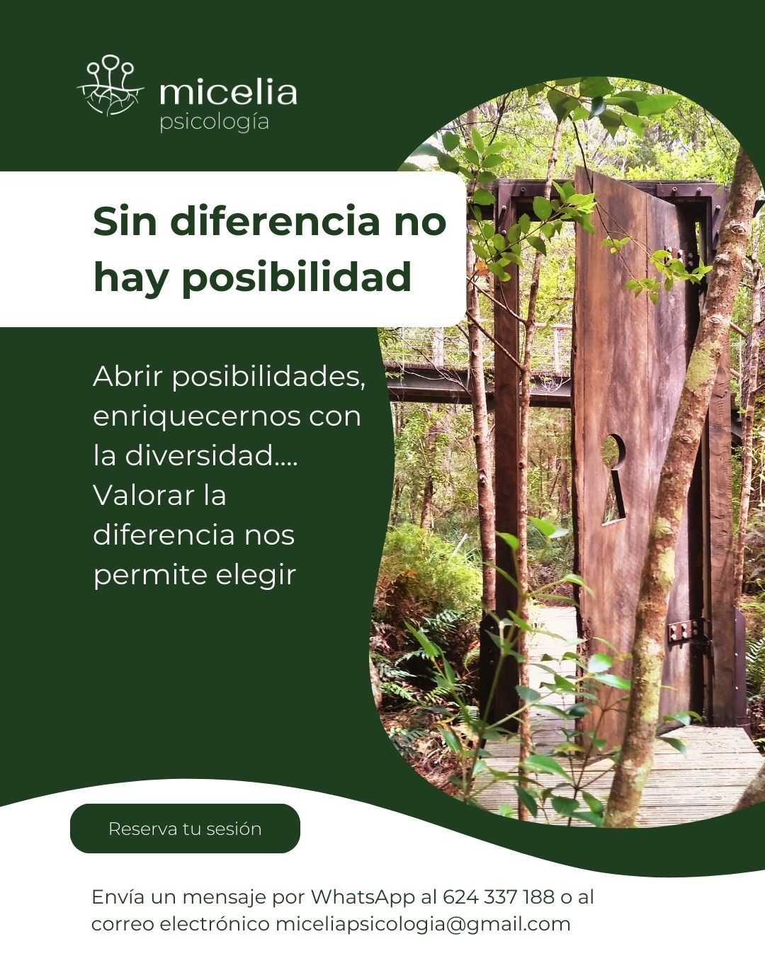 Carolina Martín Vázquez-19