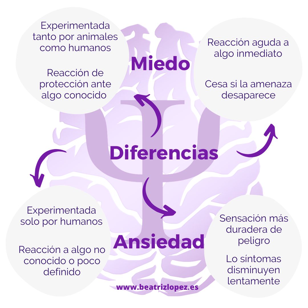 Beatriz López Sánchez-20