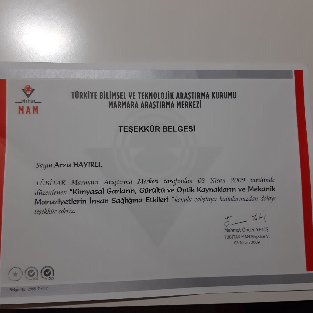 Arzu Hayırlı Usluer-10