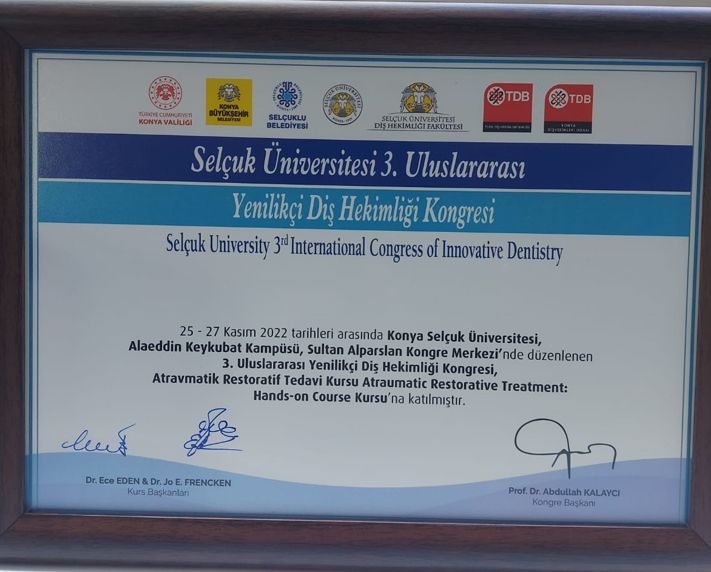 Mert Soytürk-1