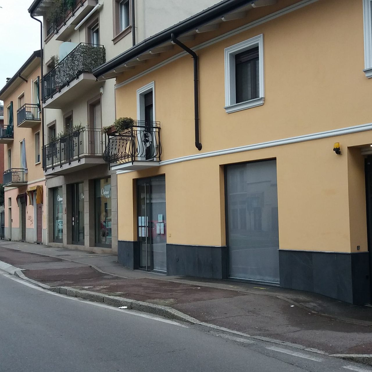 Sandra Liliana Giudici-8