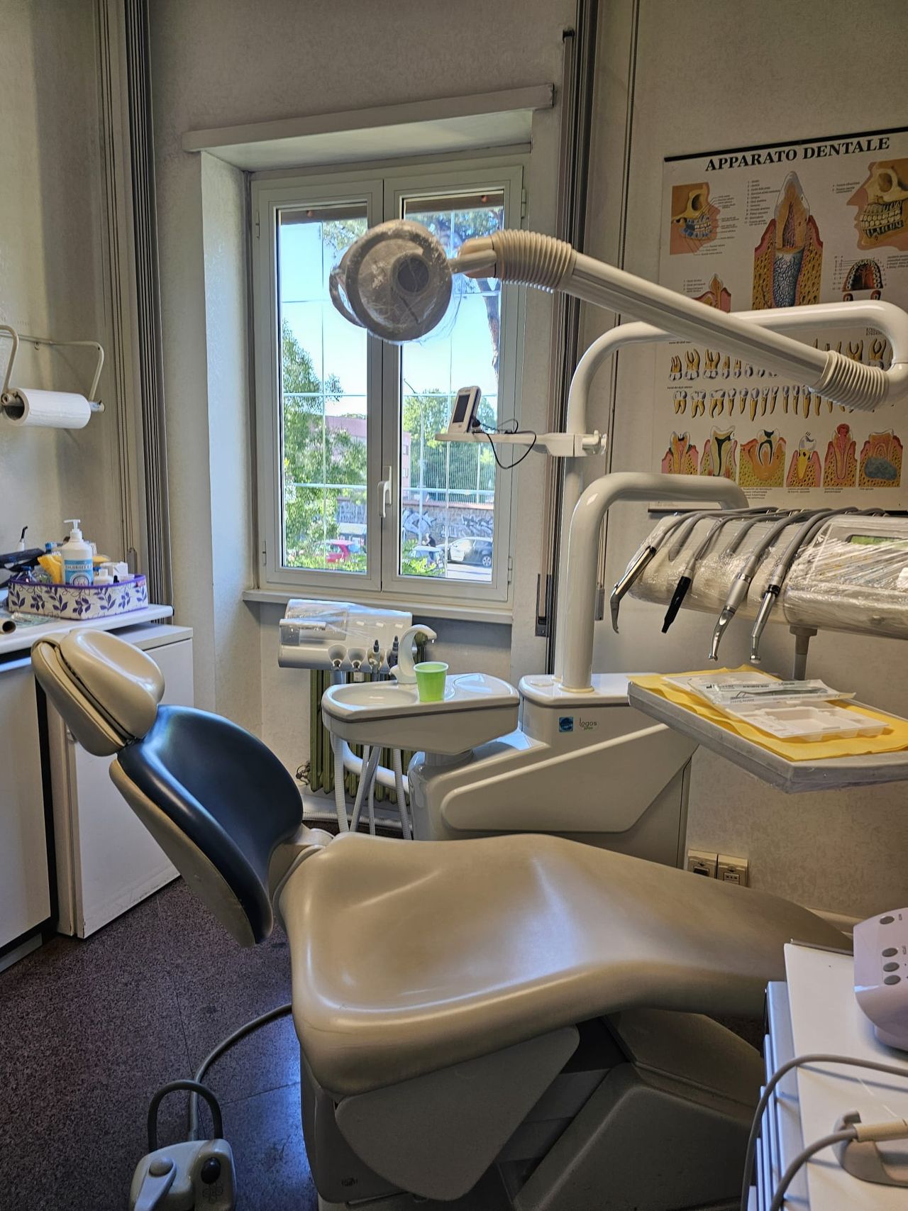 Giselda Di Giacomo-4