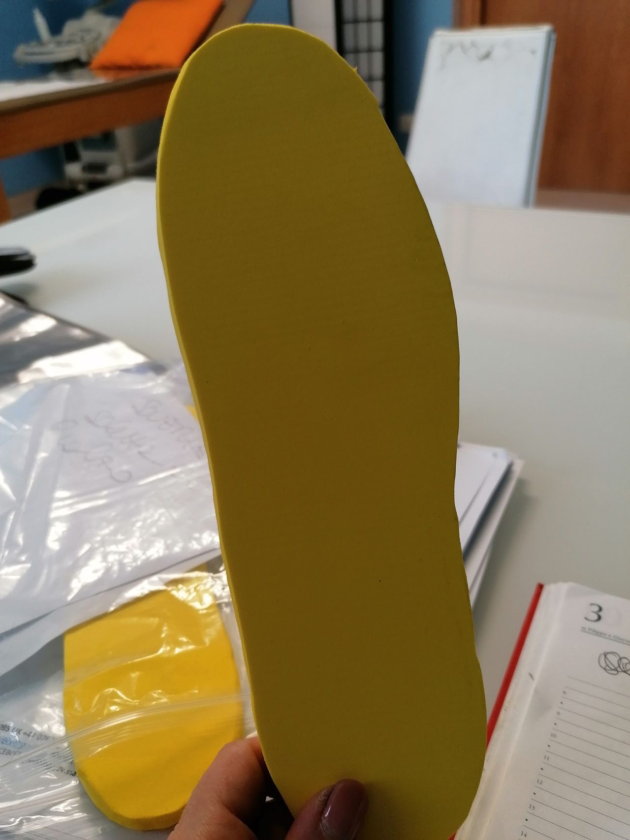 Kassandra Nicolosi-339