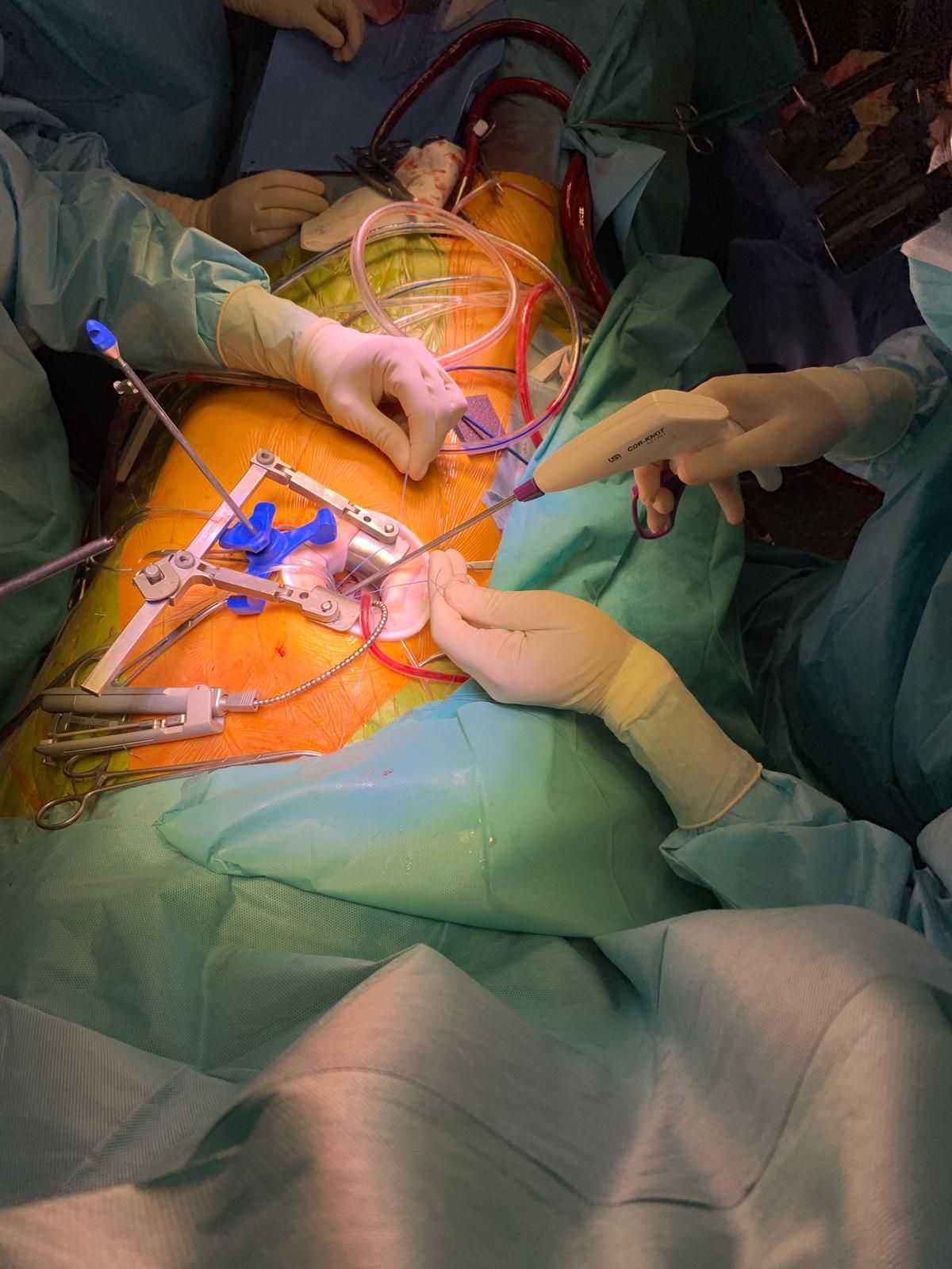 Vito Francesco Romano-14