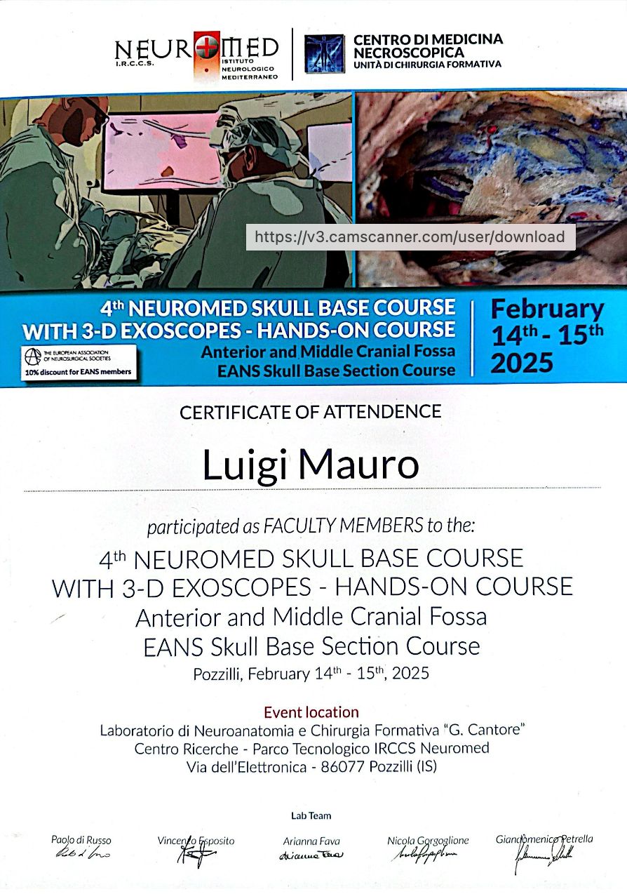 Luigi Mauro-15