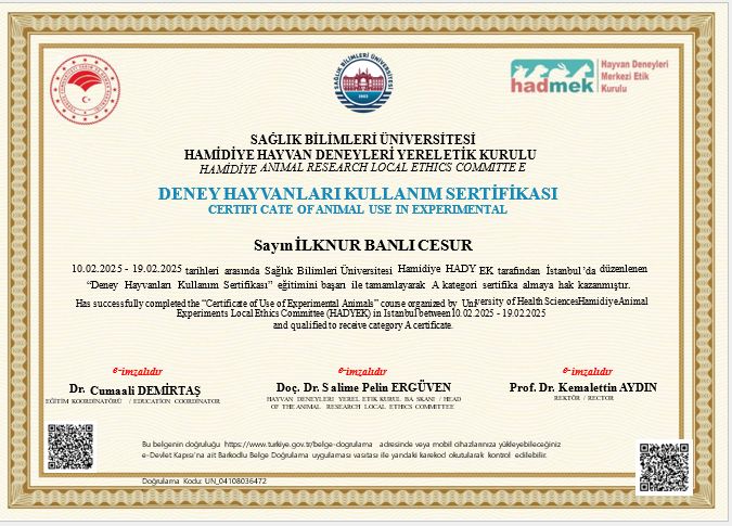 İlknur Banlı Cesur-4