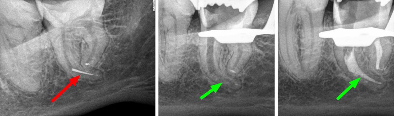 Krzysztof Gończowski-33