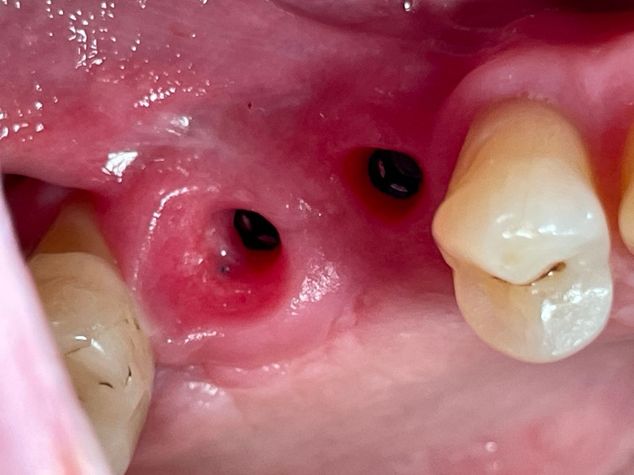 Cezary Pogorzelski-19